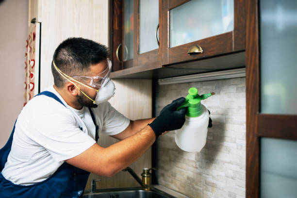Best Rat Extermination Near Me  in Shawsville, VA