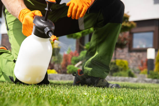 Pest Control for Restaurants in Shawsville, VA