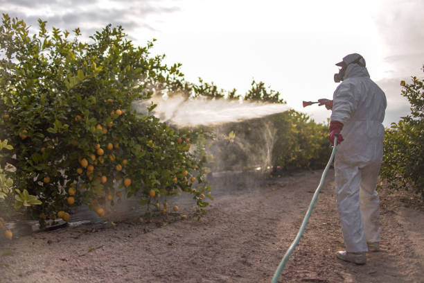 Best Insect Control  in Shawsville, VA