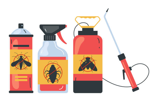Insect Control in Shawsville, VA