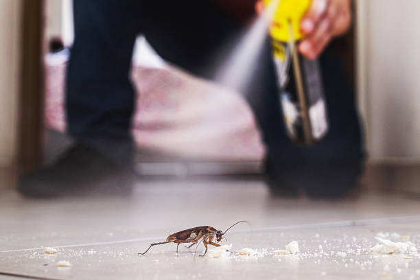 Best Pest Control Near Me  in Shawsville, VA