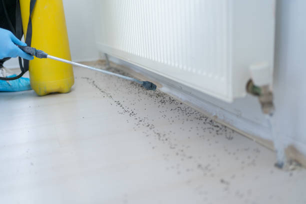  Shawsville, VA Pest Control Pros
